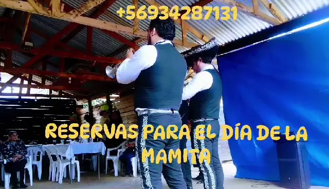 Trompetas de mariachi en vivo en un evento